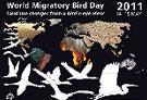 Giornata Mondiale degli Uccelli Migratori